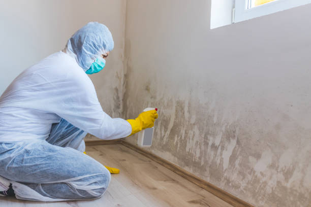 Mold Remediation specialist working in Warrenton