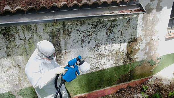 Mold Remediation service in Warrenton, Warrenton, GA